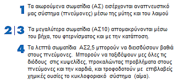 να διεισδύουν σε διάφορες περιοχές του αναπνευστικού μας συστήματος διακρίνονται σε εισπνεύσιμα, θωρακικά και αναπνεύσιμα.