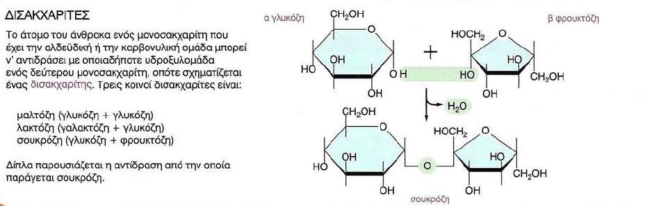 ΣΑΚΧΑΡΑ