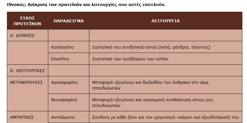 ΑΜΙΝΟΞΕΑ