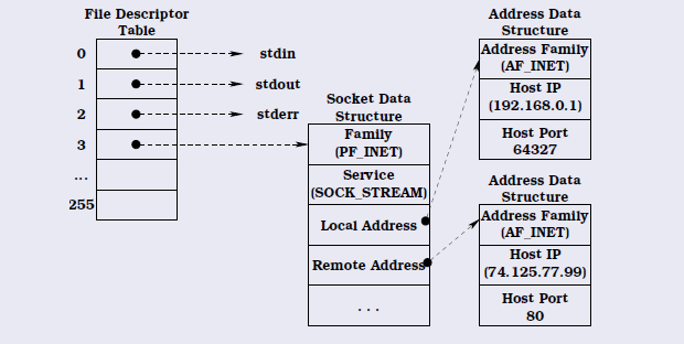 BSD Socket Πρόκειται για