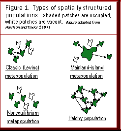 Δυναμική μεταπληθυσμών Δίκτυο υποπληθυσμών Σχέση απόστασης & έκτασης Ελάχιστος βιώσιμος