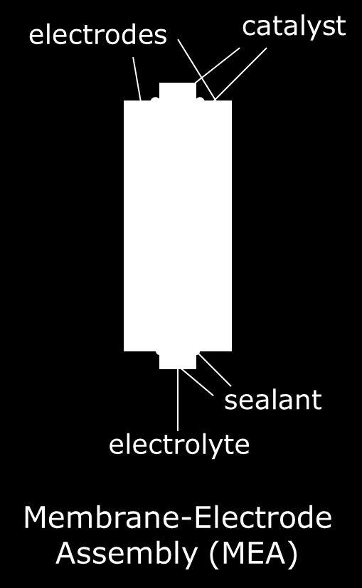 Components: Fuel Cell Components Electrolyte (Membrane): Transport ions. Block electrons, gases.