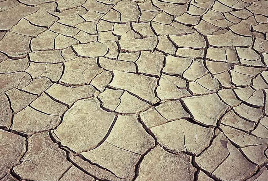 Mud Cracks Δομϋσ ξόρανςησ Για να δημιουργηθούν οι αργιλικϋσ ρωγμϋσ απαιτεύται απώλεια του νερού που βρύςκεται μϋςα ςτουσ πόρουσ τησ αργύλου,