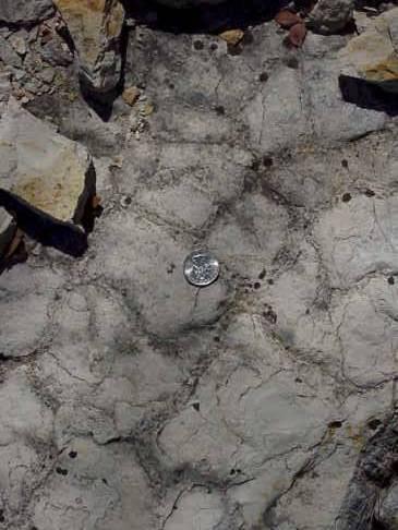 Mud Cracks Απολιθωμϋνη αποξόρανςη &