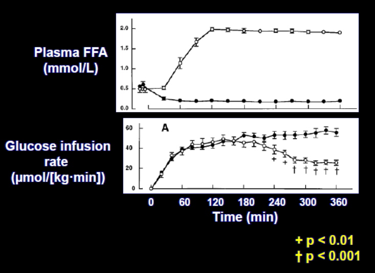 Roden et al, J