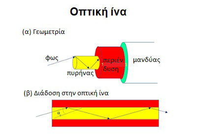 78 ΕΝΟΤΗΤΑ 3 Επικοινωνία και Διαδίκτυο Εφαρμογές Πληροφορικής Οπτικές ίνες. Είναι το πιο προηγμένο μέσο από τεχνολογικής άποψης.