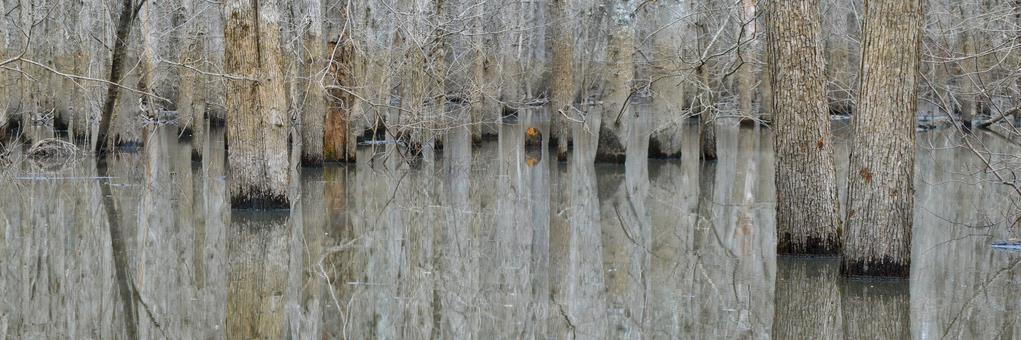 Χαροκϐπειο Πανεπιςτόμιο Τμόμα Γεωγραφύασ ΠΜΣ Εφαρμοςμϋνησ Γεωγραφύασ και Διαχεύριςησ του Χώρου Κατεϑθυνςη Γεωπληροφορικόσ Εκτύμηςη Πλημμυρικόσ