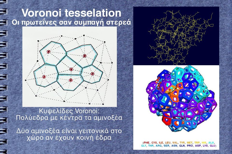 Πολύεδρα με κέντρα τα αμινοξέα Δύο