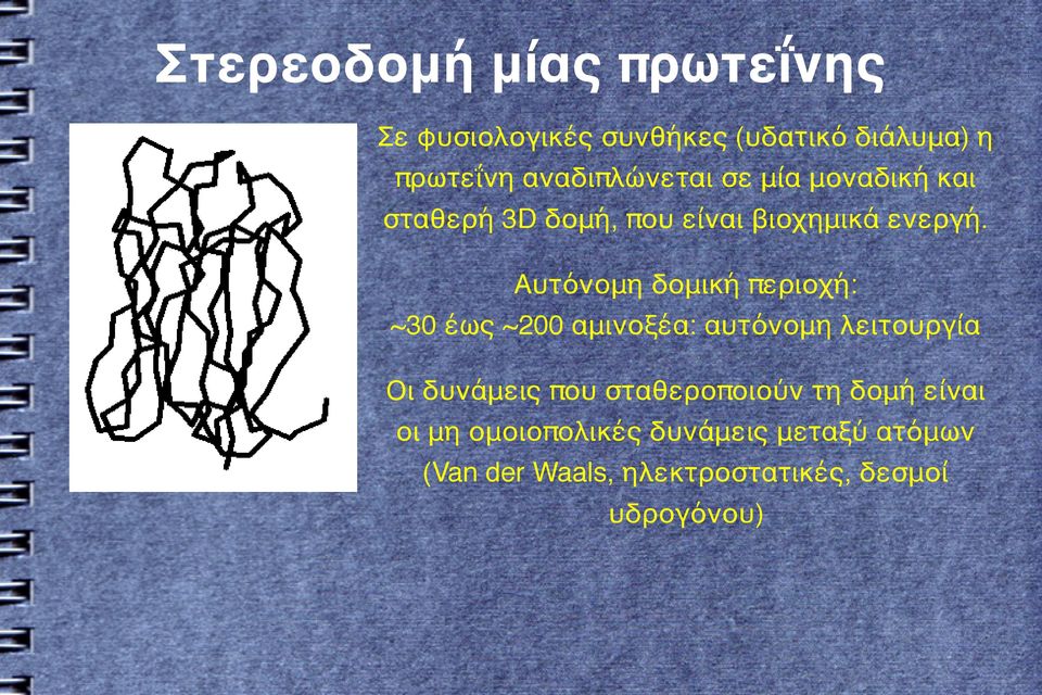 Αυτόνομη δομική περιοχή: ~30 έως ~200 αμινοξέα: αυτόνομη λειτουργία Οι δυνάμεις που