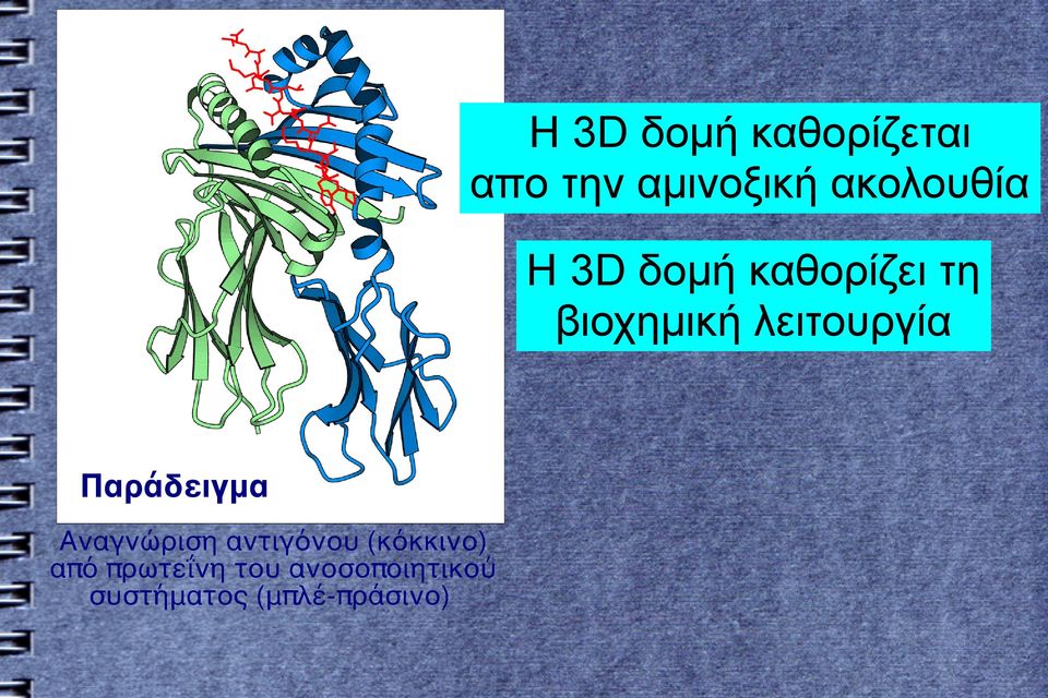 λειτουργία Παράδειγμα Αναγνώριση αντιγόνου