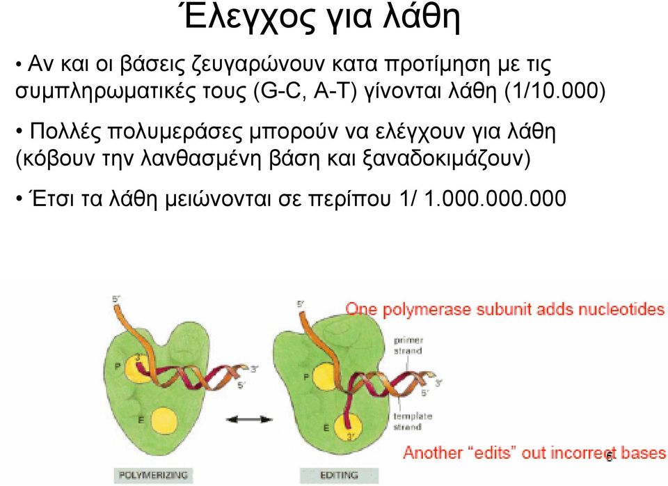 000) Πολλές πολυµεράσες µπορούν να ελέγχουν για λάθη (κόβουν την