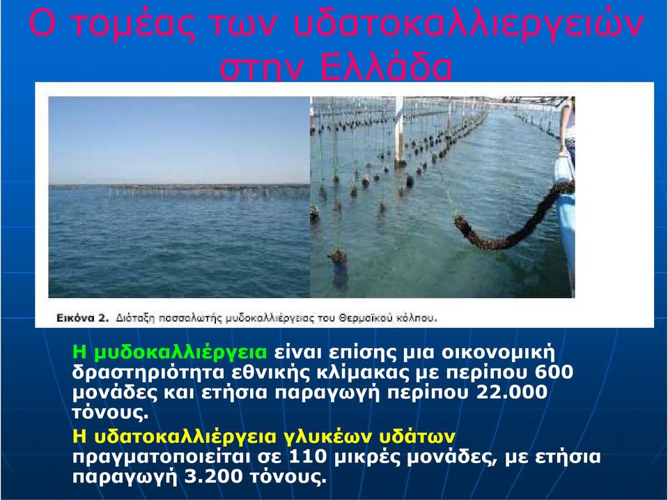 µονάδες και ετήσια παραγωγή περίπου 22.000 τόνους.