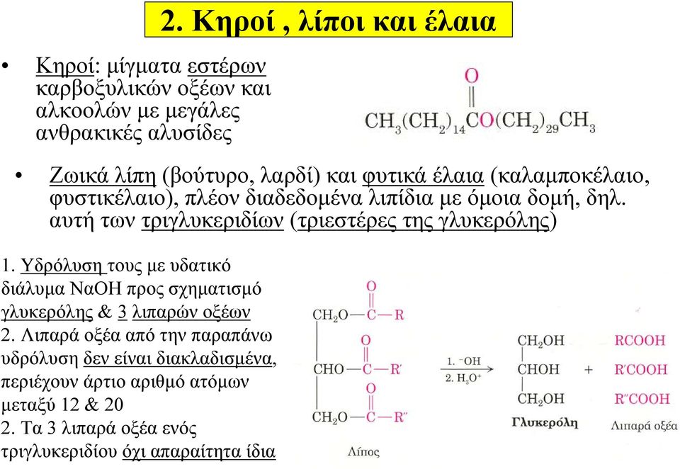 δομή, δηλ. αυτή των τριγλυκεριδίων (τριεστέρες της γλυκερόλης) 1.