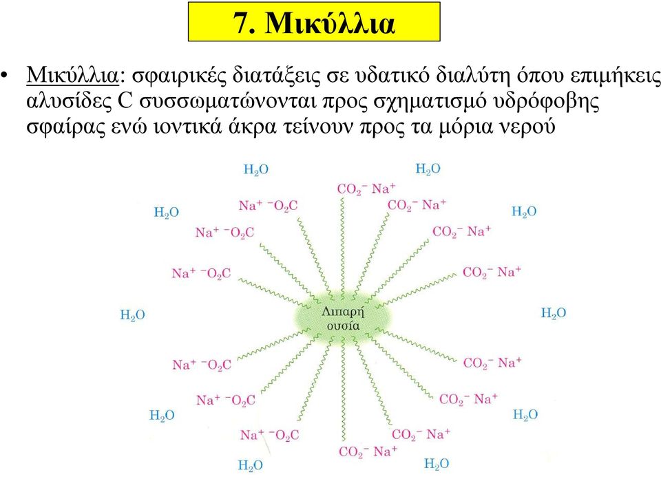 συσσωματώνονται προς σχηματισμό υδρόφοβης