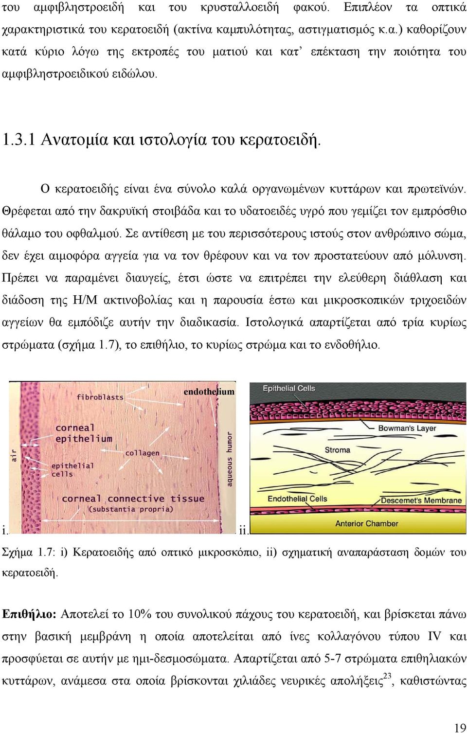 Θρέφεται από την δακρυϊκή στοιβάδα και το υδατοειδές υγρό που γεμίζει τον εμπρόσθιο θάλαμο του οφθαλμού.