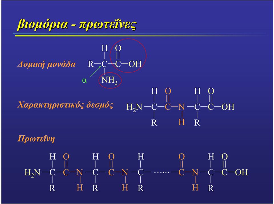 δεσµός H 2 C C C C H R H R Πρωτεΐνη H