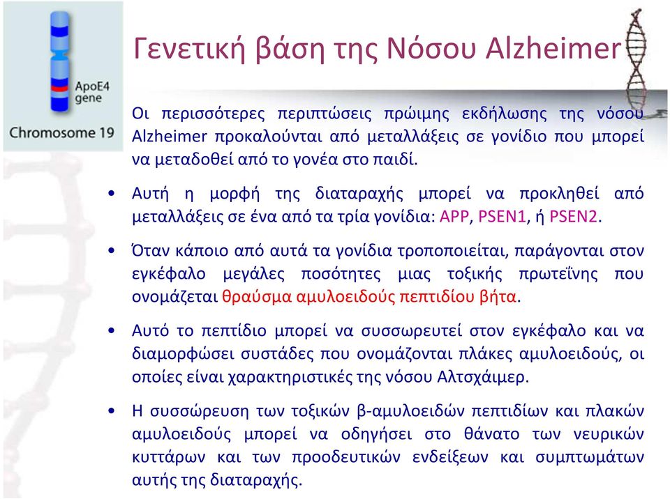 Όταν κάποιο από αυτά τα γονίδια τροποποιείται, παράγονται στον εγκέφαλο μεγάλες ποσότητες μιας τοξικής πρωτεΐνης που ονομάζεται θραύσμα αμυλοειδούς πεπτιδίου βήτα.