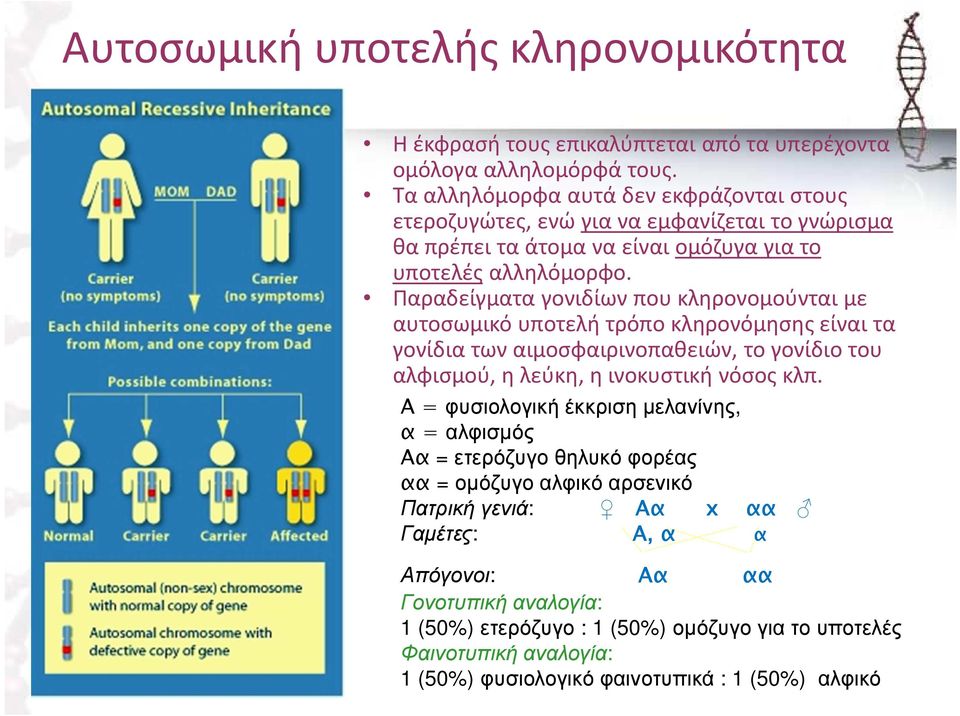 Παραδείγματα γονιδίων που κληρονομούνται με αυτοσωμικό υποτελή τρόπο κληρονόμησης είναι τα γονίδια των αιμοσφαιρινοπαθειών, το γονίδιο του αλφισμού, η λεύκη, η ινοκυστική νόσος κλπ.