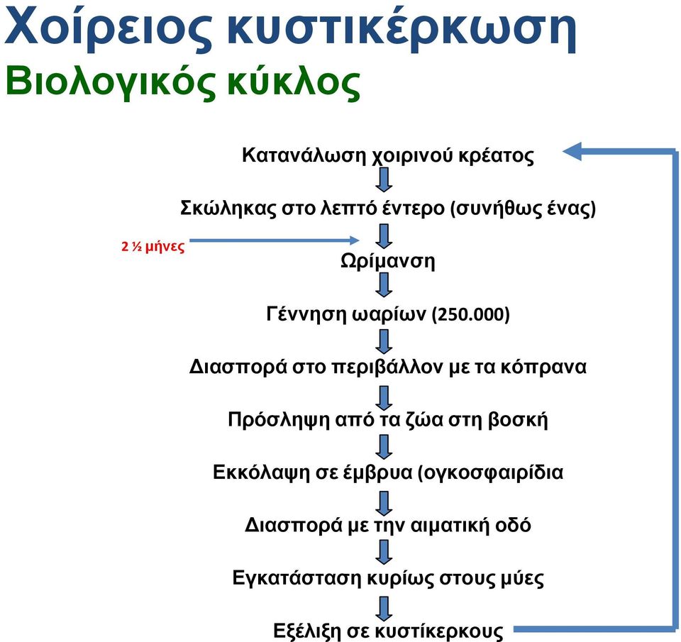 000) Διασπορά στο περιβάλλον με τα κόπρανα Πρόσληψη από τα ζώα στη βοσκή Εκκόλαψη σε