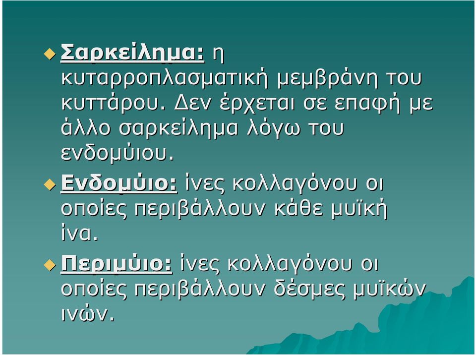 Ενδομύιο: ίνες κολλαγόνου οι οποίες περιβάλλουν κάθε μυϊκή