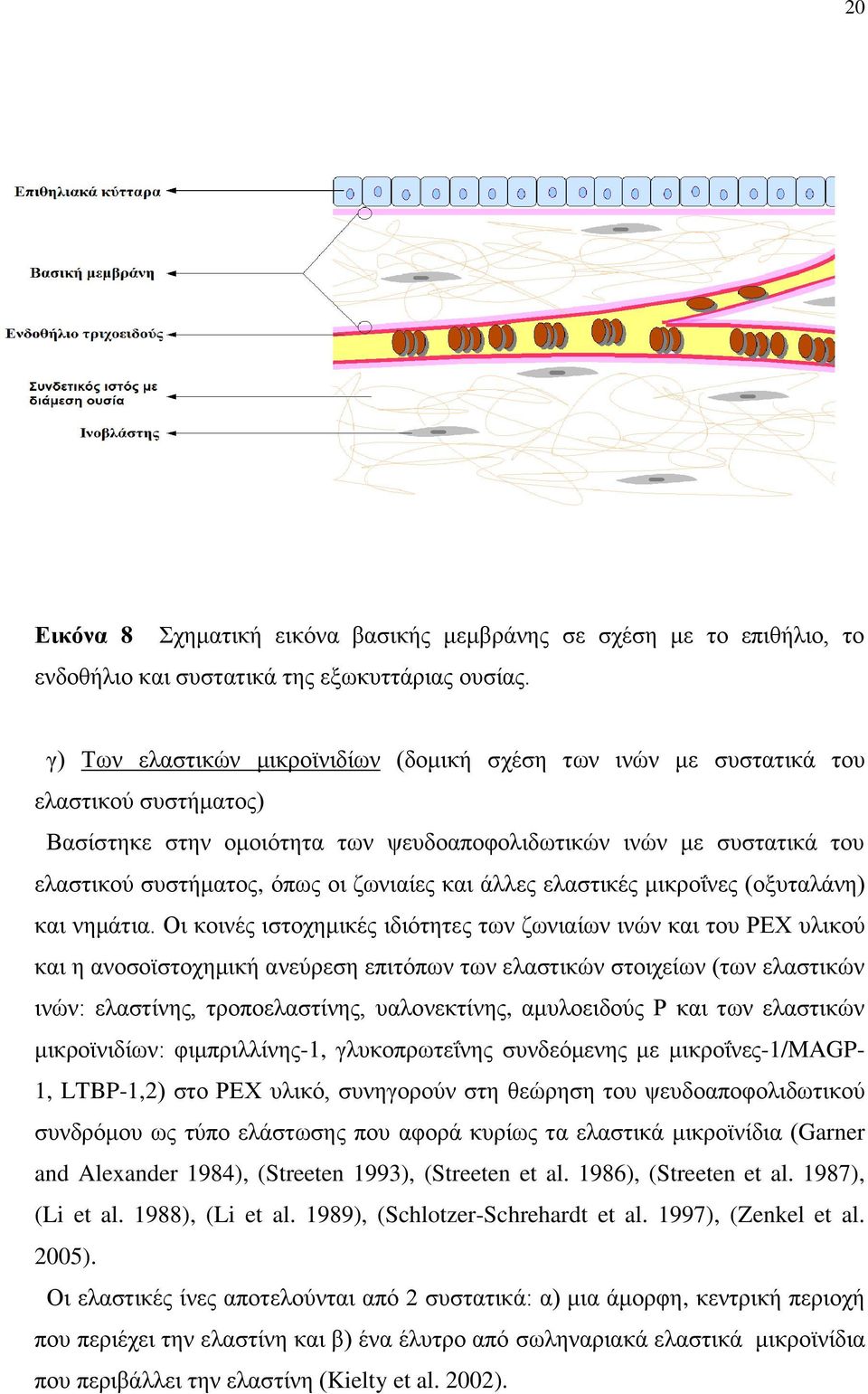 γςκζαίεξ ηαζ άθθεξ εθαζηζηέξ ιζηνμύκεξ (μλοηαθάκδ) ηαζ κδιάηζα.