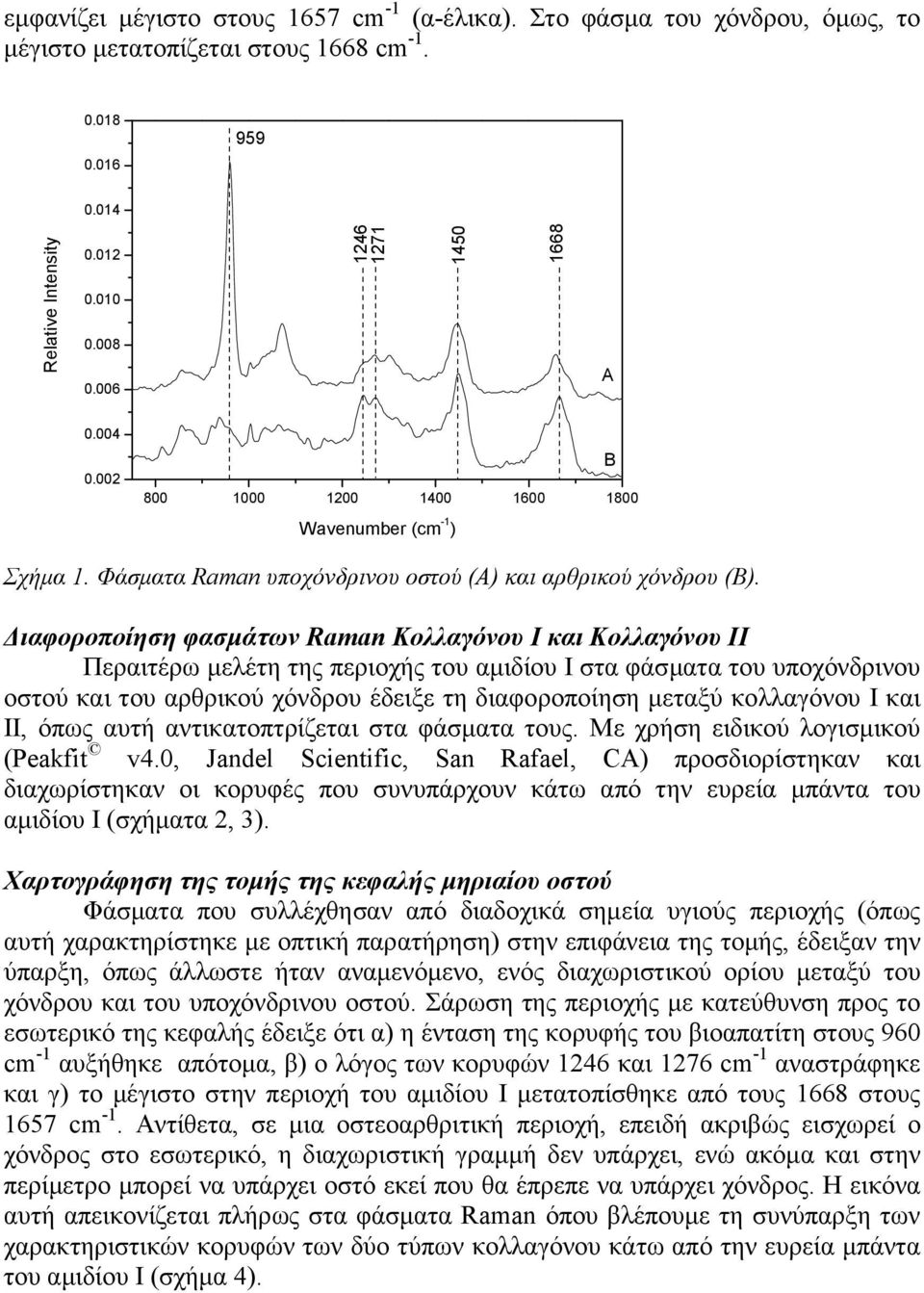 ιαφοροποίηση φασµάτων Raman Κολλαγόνου Ι και Κολλαγόνου ΙΙ Περαιτέρω µελέτη της περιοχής του αµιδίου Ι στα φάσµατα του υποχόνδρινου οστού και του αρθρικού χόνδρου έδειξε τη διαφοροποίηση µεταξύ