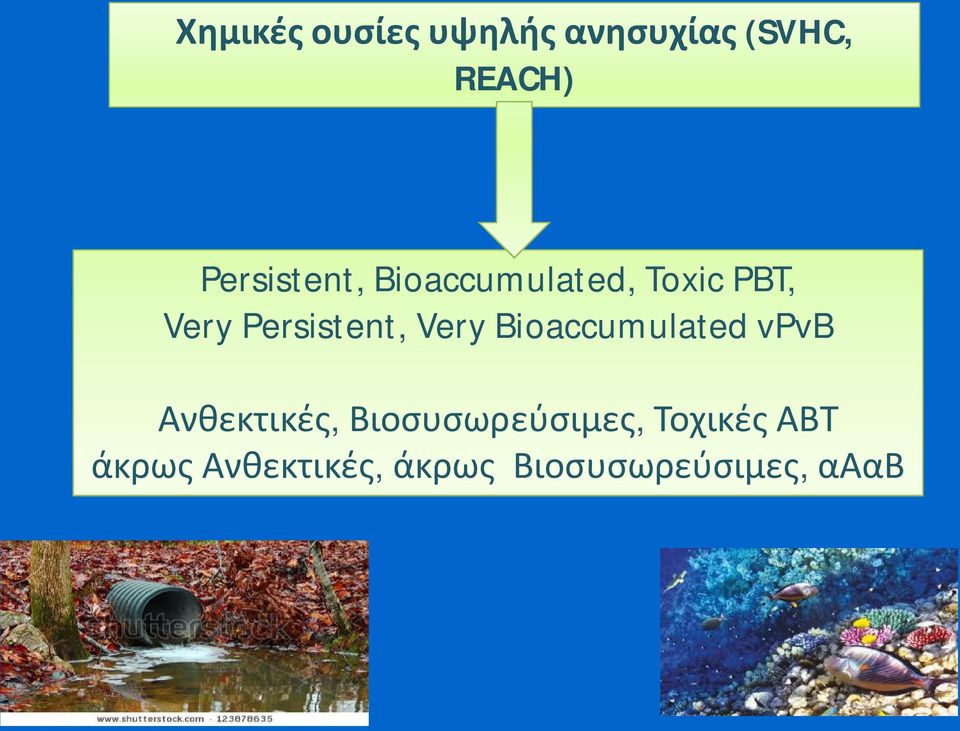 Persistent, Very Bioaccumulated vpvb Ανθεκτικές,