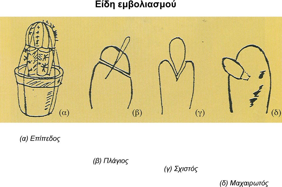 Πλάγιος (γ)