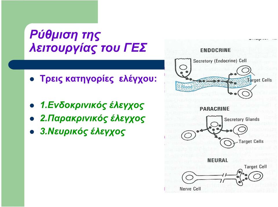 1.Ενδοκρινικός έλεγχος 2.