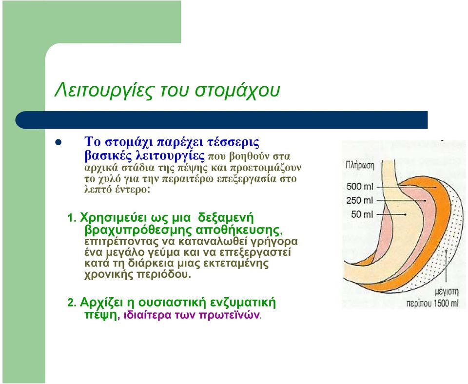 Χρησιμεύει ως μια δεξαμενή βραχυπρόθεσμης αποθήκευσης, επιτρέποντας να καταναλωθεί γρήγορα ένα μεγάλο γεύμα