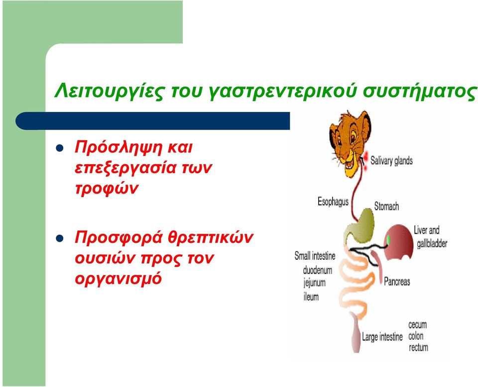 επεξεργασία των τροφών