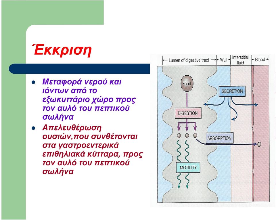 σωλήνα Απελευθέρωση ουσιών,που συνθέτονται στα