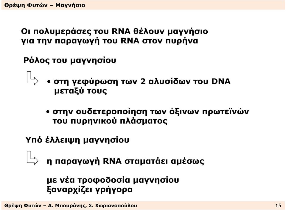 πρωτεϊνών του πυρηνικού πλάσµατος Υπό έλλειψη µαγνησίου η παραγωγή RNA σταµατάει