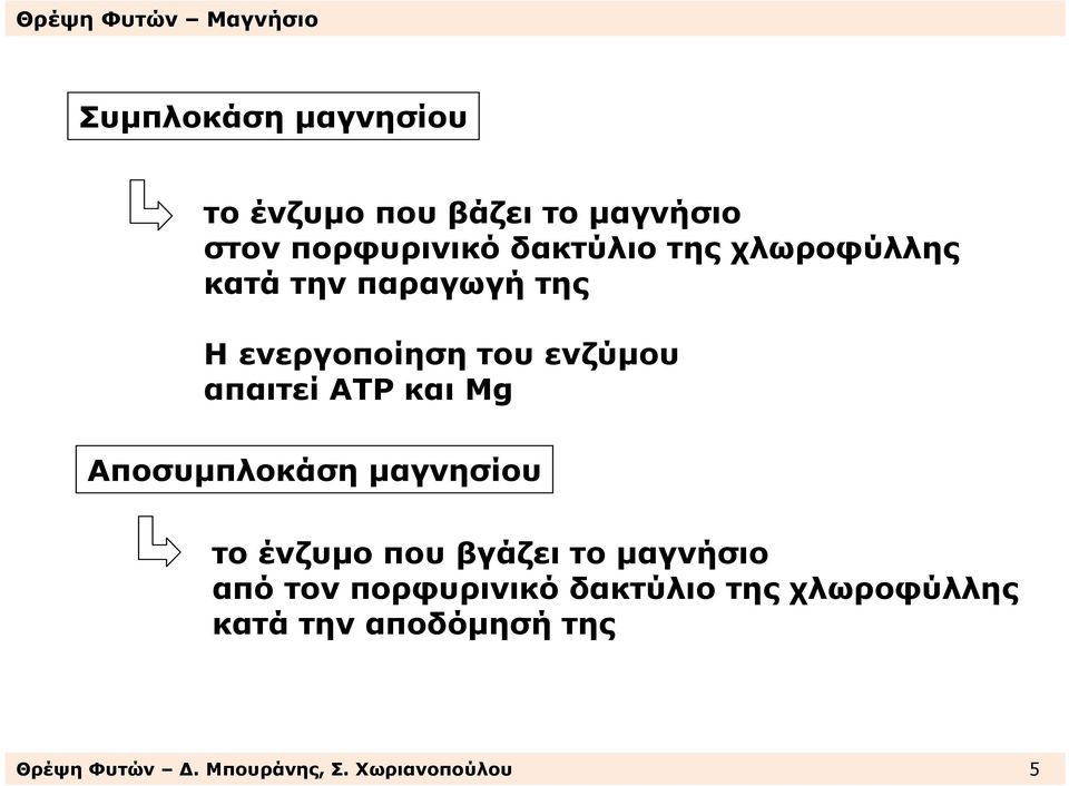 Αποσυµπλοκάση µαγνησίου το ένζυµο που βγάζει το µαγνήσιο από τον πορφυρινικό