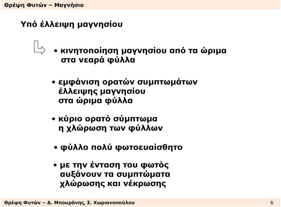 σύµπτωµα η χλώρωση των φύλλων φύλλο πολύ φωτοευαίσθητο µετην έντασητουφωτός