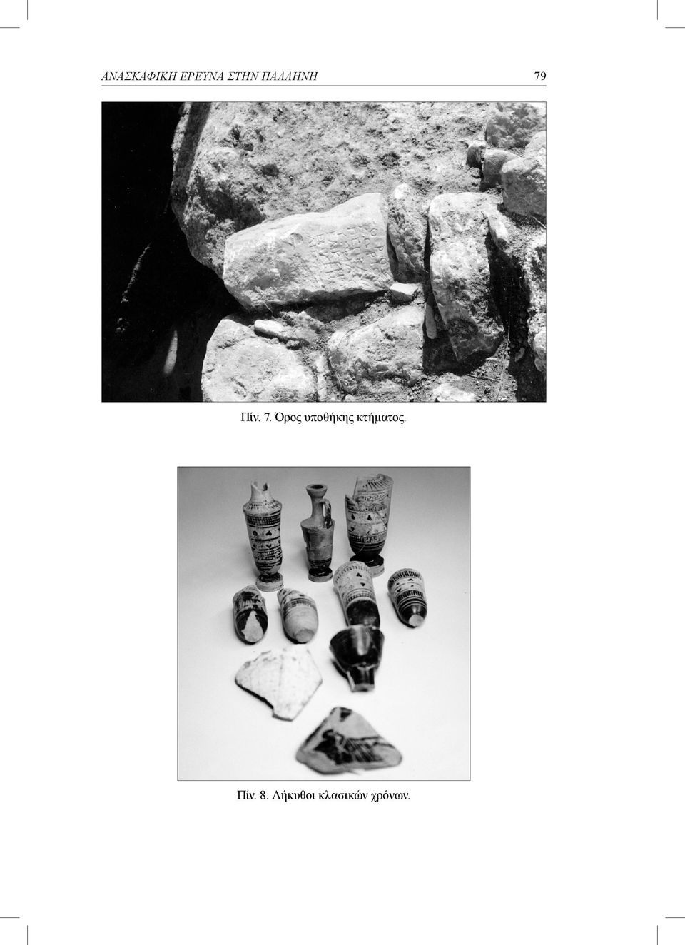 Πίν. 7.