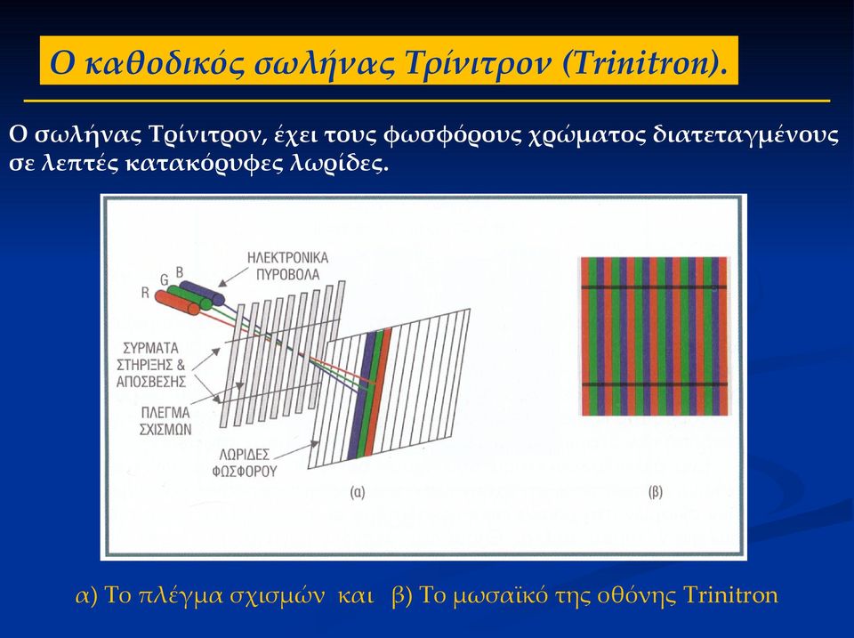 διατεταγμένους σε λεπτές κατακόρυφες λωρίδες.