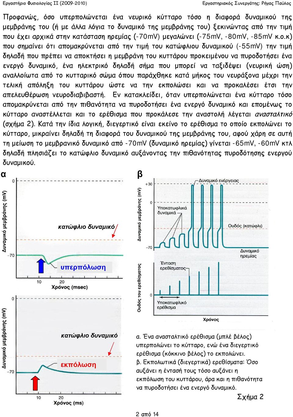 κ) που σημαίνει ότι απομακρύνεται από την τιμή του κατώφλιου δυναμικού (-55mV) την τιμή δηλαδή που πρέπει να αποκτήσει η μεμβράνη του κυττάρου προκειμένου να πυροδοτήσει ένα ενεργό δυναμικό, ένα