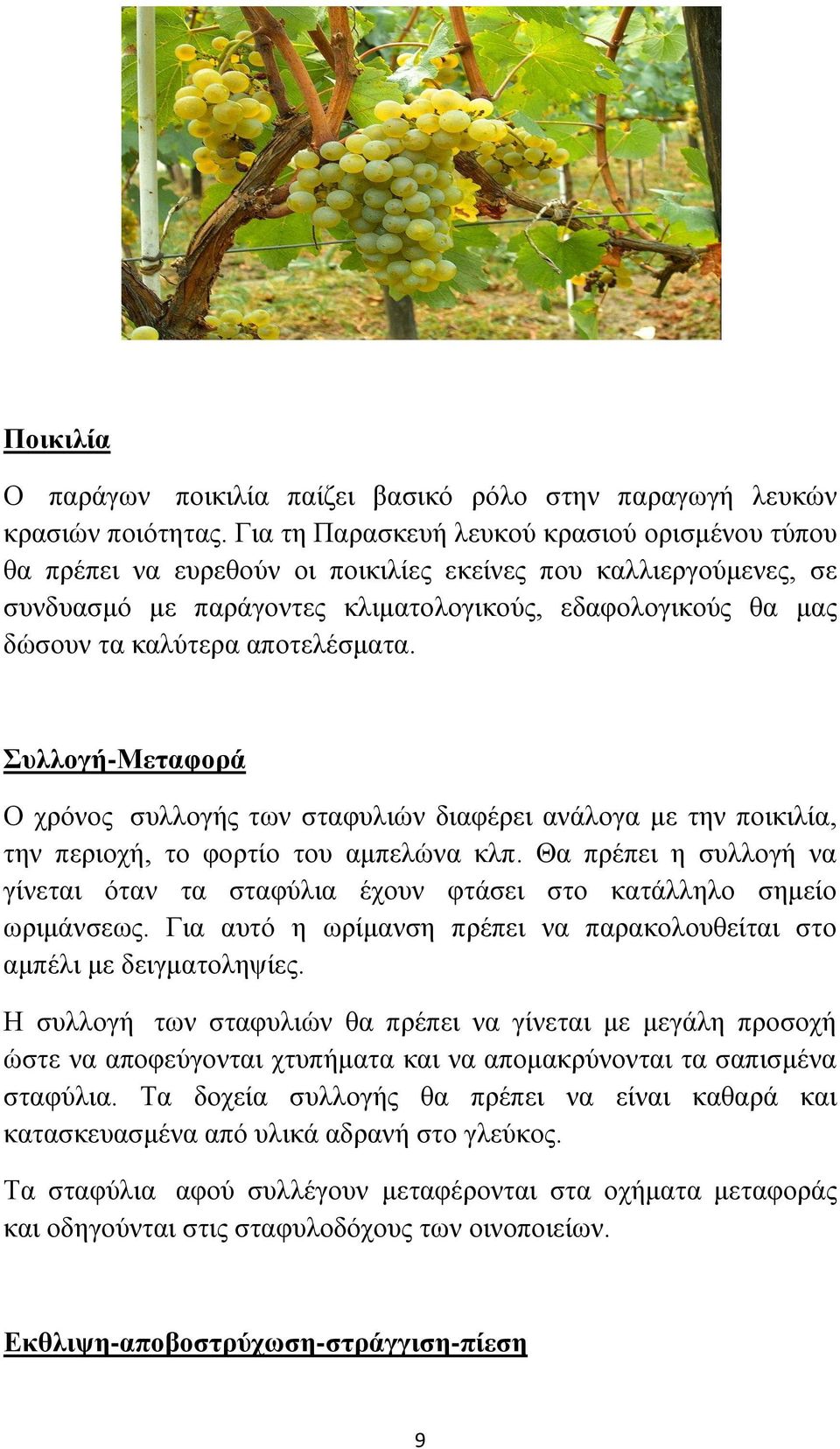 αποτελέσματα. Συλλογή-Μεταφορά Ο χρόνος συλλογής των σταφυλιών διαφέρει ανάλογα με την ποικιλία, την περιοχή, το φορτίο του αμπελώνα κλπ.