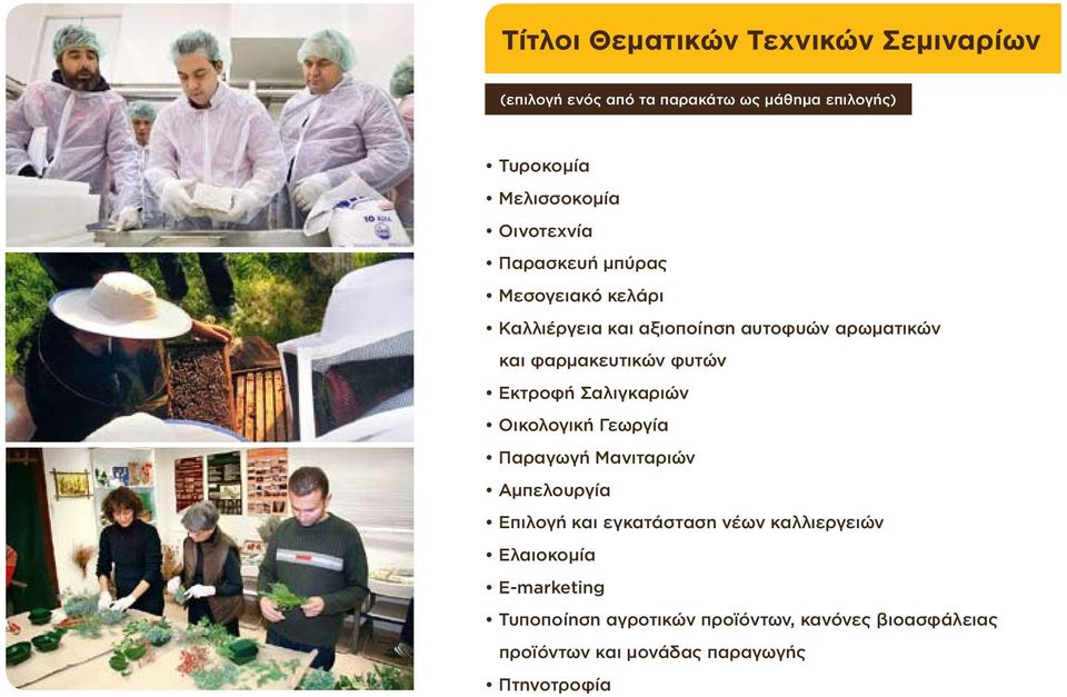 φυτών Εκτροφή Σαλιγκαριών Οικολογική Γεωργία Παραγωγή Μανιταριών Αμπελουργία Επιλογή και εγκατάσταση νέων