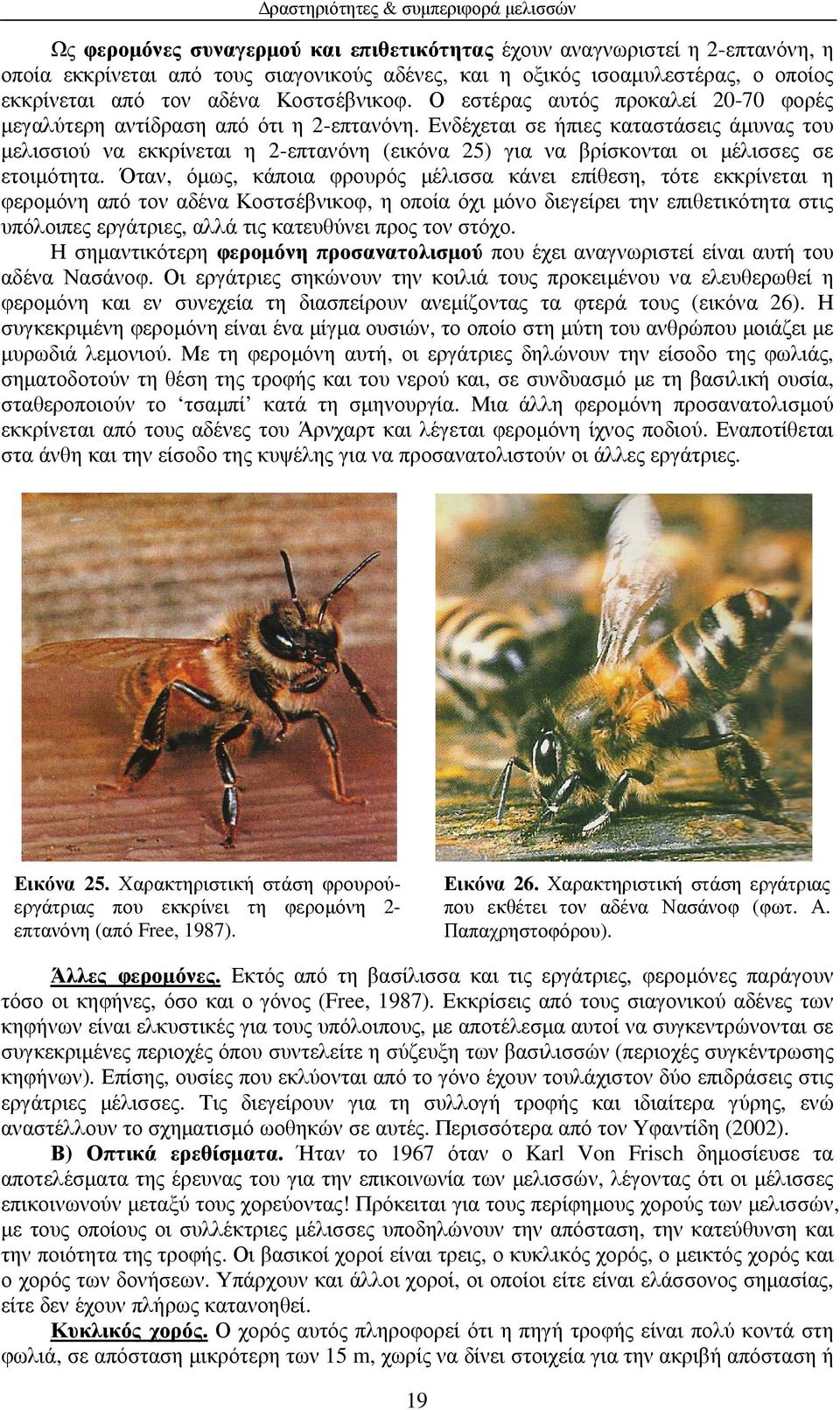 Ενδέχεται σε ήπιες καταστάσεις άµυνας του µελισσιού να εκκρίνεται η 2-επτανόνη (εικόνα 25) για να βρίσκονται οι µέλισσες σε ετοιµότητα.