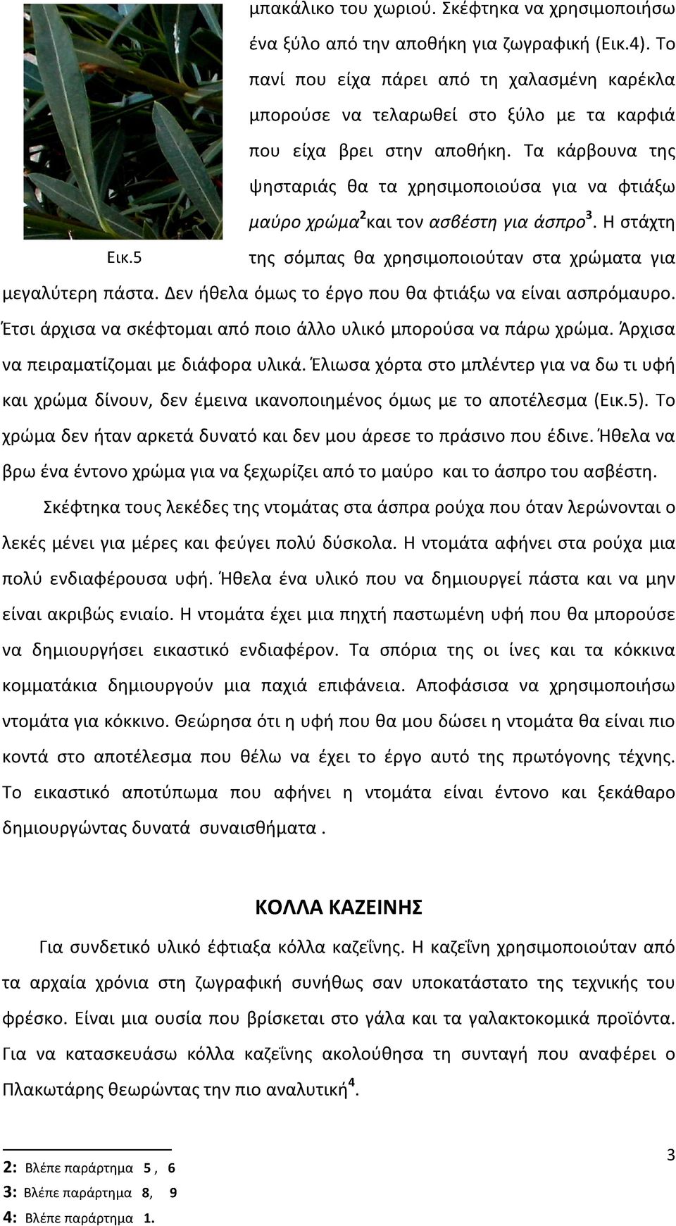 Τα κάρβουνα τθσ ψθςταριάσ κα τα χρθςιμοποιοφςα για να φτιάξω μαφρο χρϊμα 2 και τον αςβζςτθ για άςπρο 3. Η ςτάχτθ Εικ.5 τθσ ςόμπασ κα χρθςιμοποιοφταν ςτα χρϊματα για μεγαλφτερθ πάςτα.