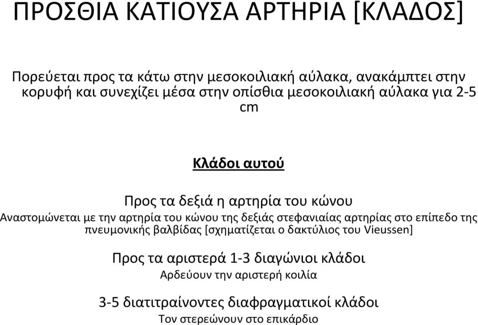κώνου της δεξιάς στεφανιαίας αρτηρίας στο επίπεδο της πνευμονικής βαλβίδας [σχηματίζεται ο δακτύλιος του Vieussen] Προς