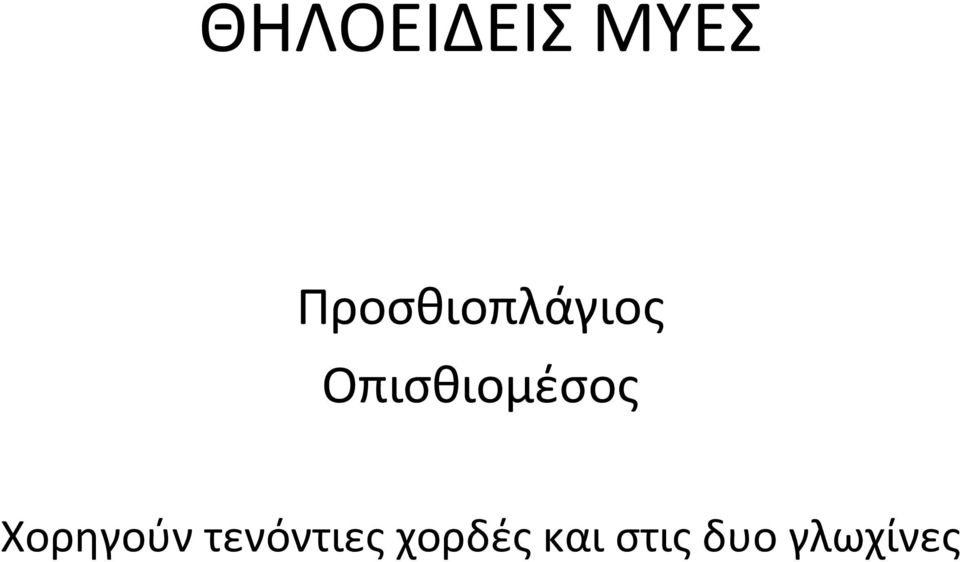 Οπισθιομέσος Χορηγούν