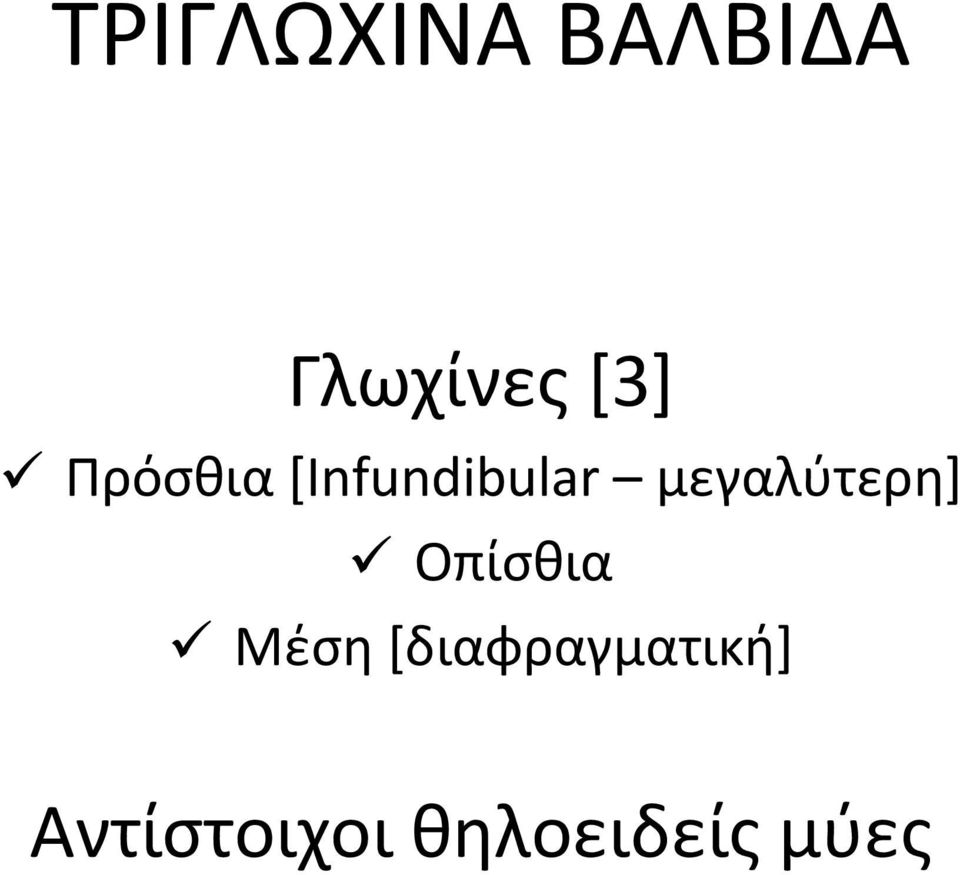 μεγαλύτερη] Οπίσθια