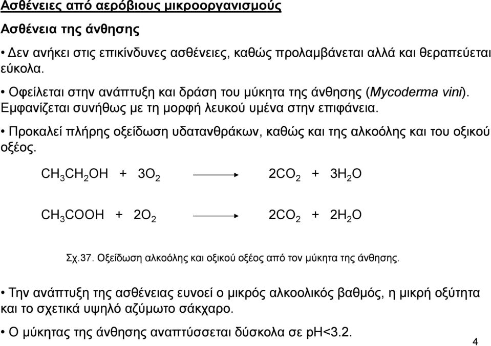 Προκαλεί πλήρης οξείδωση υδατανθράκων, καθώς και της αλκοόλης και του οξικού οξέος. CH 3 CH 2 OH + 3O 2 2CO 2 + 3H 2 O CH 3 COOH + 2O 2 2CO 2 + 2H 2 O Σχ.37.