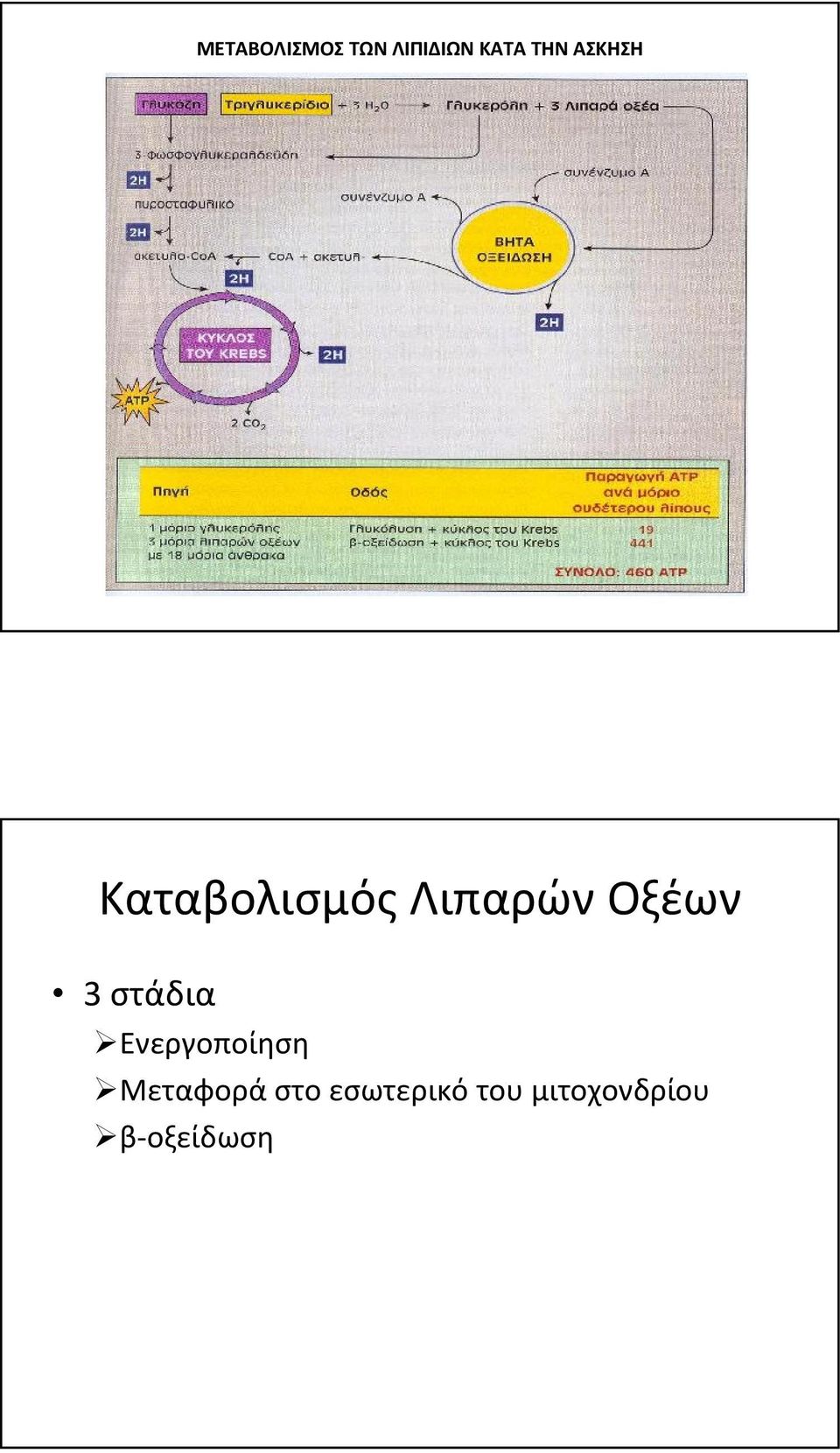 στάδια Ενεργοποίηση Μεταφορά στο