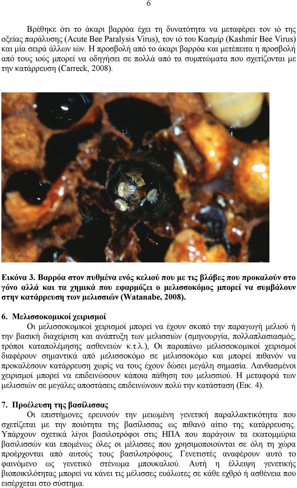 Βαρρόα στον πυθμένα ενός κελιού που με τις βλάβες που προκαλούν στο γόνο αλλά και τα χημικά που εφαρμόζει ο μελισσοκόμος μπορεί να συμβάλουν στην κατάρρευση των μελισσιών (Watanabe, 2008). 6.
