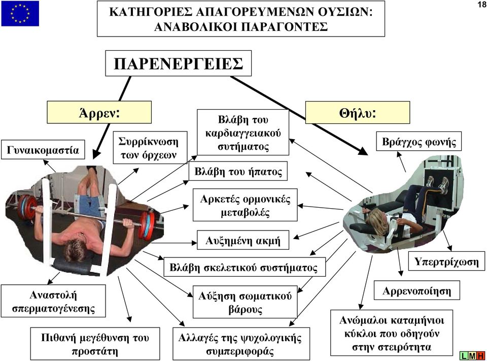 Αυξηµένη ακµή Βλάβη σκελετικού συστήµατος Υπερτρίχωση Αναστολή σπερµατογένεσης Πιθανή µεγέθυνση του προστάτη