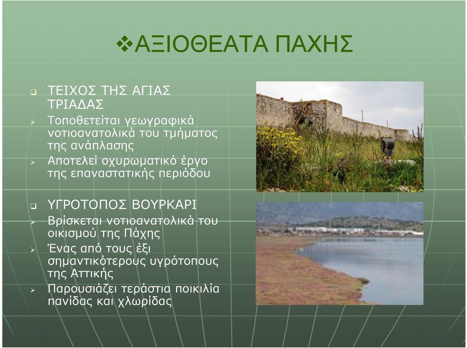 ΥΓΡΟΤΟΠΟΣ ΒΟΥΡΚΑΡΙ Βρίσκεται νοτιοανατολικά του οικισμού της Πάχης Ένας από τους